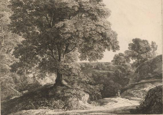Jacques d'Arthois - Wooded Landscape (1819)