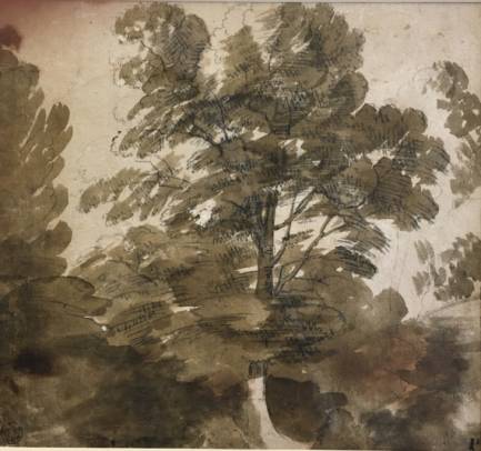 Jacques d'Arthois - A Large Tree