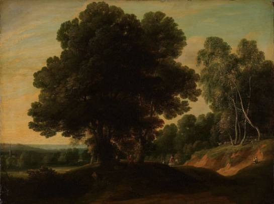 Jacques d'Arthois - Sunken Road in a Wood