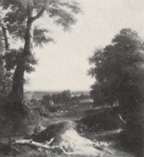 Jacques d'Arthois - Wooded Landscape 