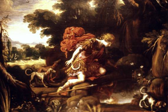 Jacques d'Arthois - Narcissus