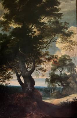 Jacques d'Arthois - The Old Oak