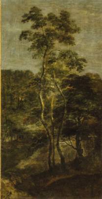 Jacques d'Arthois - Trees