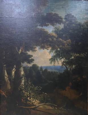 Jacques d'Arthois - Forest Spot