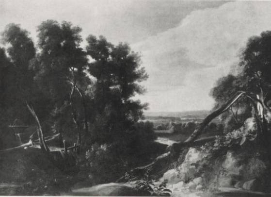 Jacques d'Arthois - Landscape with Teared Trunks