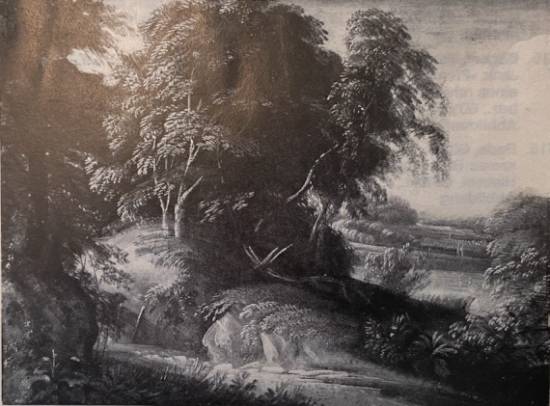 Jacques d'Arthois - Wooded Landscape