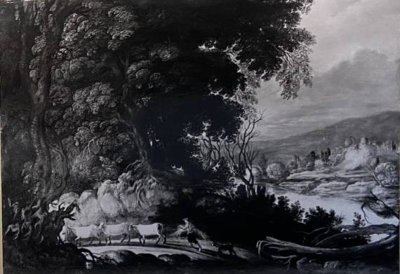 Jacques d'Arthois - Forest View