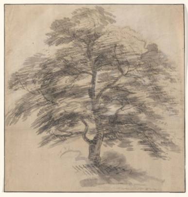 Jacques d'Arthois - Tree