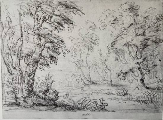 Jacques d'Arthois - Wooded Landscape