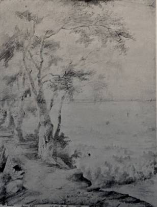 Jacques d'Arthois - Shady Path