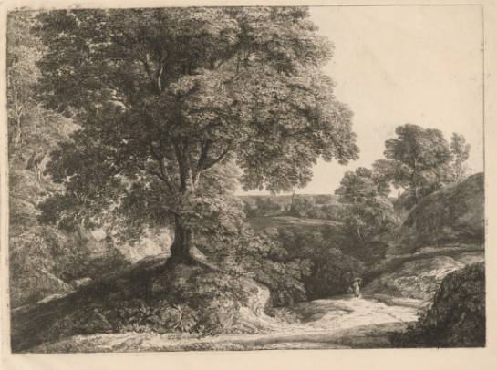 Jacques d'Arthois - Wooded Landscape (1817-1890)