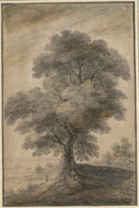 Jacques d'Arthois - High Tree