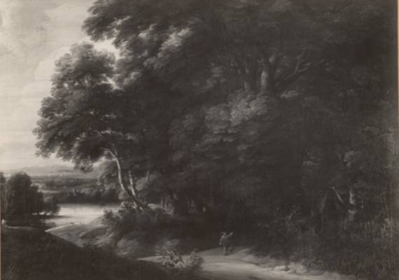 Jacques d'Arthois - Wooded Landscape