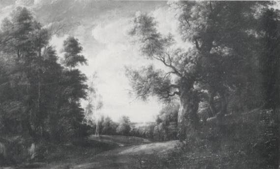 Jacques d'Arthois - A Wooded Landscape