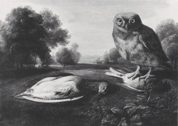 Jacques d'Arthois - Woodcock and Owl in a Landscape