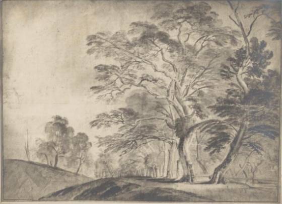 Jacques d'Arthois - Woody Landscape
