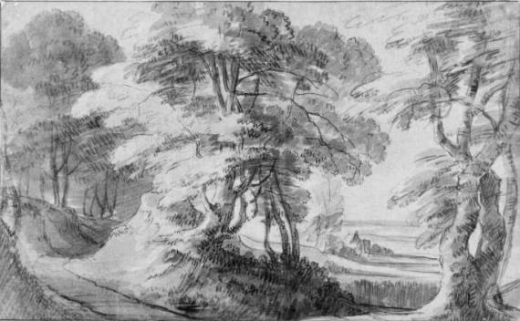 Jacques d'Arthois - Forest View