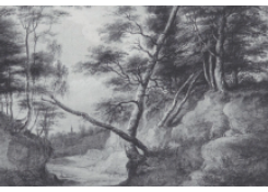 CB 7059: A Pathway in a Wood Work 7059: A Pathway in a Wood